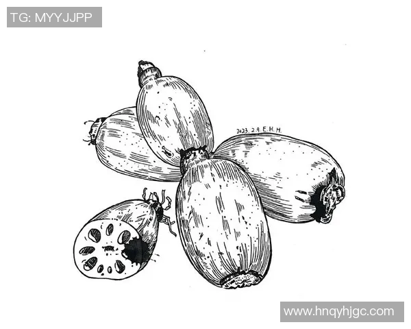 探索足球勾线画的艺术魅力与创作技巧，感受运动与艺术的完美结合